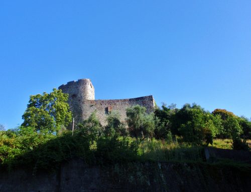 StoriaCulturaEsempio1